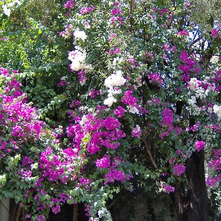 Hotel Gulec Bodrum Exterior photo