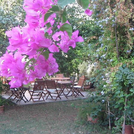 Hotel Gulec Bodrum Exterior photo